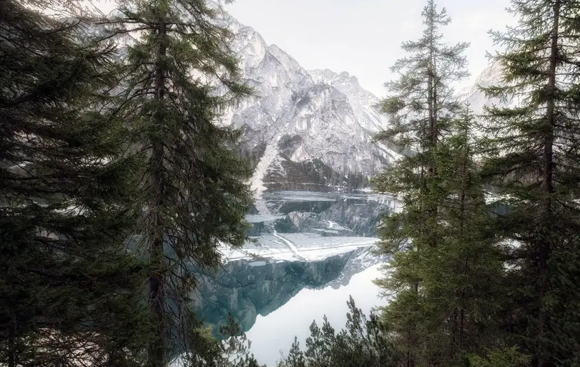 Beispiel-Bild Nr. 12