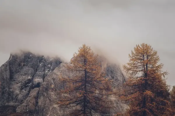 Beispiel-Bild Nr. 9