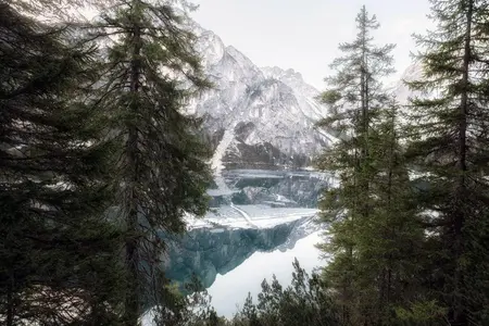 Beispiel-Bild Nr. 12